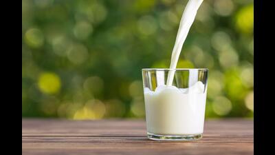 Ludhiana district health officer (DHO) Dr Gurpreet Singh said the samples were being collected as per the directions of the Food and Drugs Administration (FDA), Punjab, with a focus on checking milk adulteration (HT FILE)