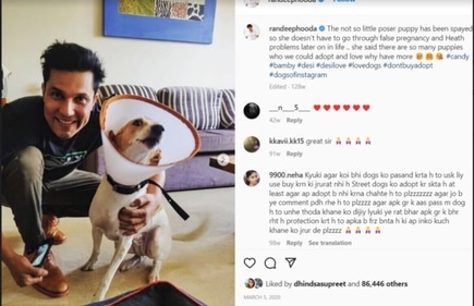Randeep Hooda’s home is filled with neutral colours and a few pops of colour, like this painting in the background. Randeep Hooda’s home is filled with neutral colours and a few pops of colour, like this painting in the background.