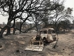 A view shows a burnt vehicle amid burnt trees following a wildfire in El Kala, in Al Taref province.(REUTERS)
