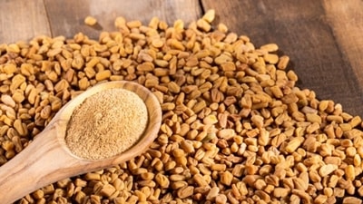 Methi seed powder helps in lowering blood sugar as well. Anjali suggested that half tablespoon of methi seed powder should be consumed post lunch and dinner. (Unsplash)