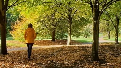 Walking after lunch and dinner, for around fifteen minutes can help as lot. Walking helps in bringing down blood sugar levels. It also helps in boosting cardiovascular health and the metabolism of the body. (Unsplash)