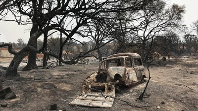 A view shows a burnt vehicle amid burnt trees following a wildfire in El Kala, in Al Taref province. (REUTERS)