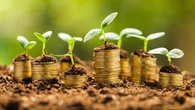 Get daily astrological predictions on career and money for your zodiac signs.
