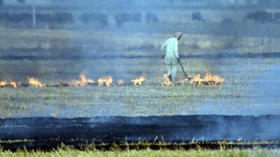 10 Ludhiana villages have taken a pledge against stubble burning. (HT File)