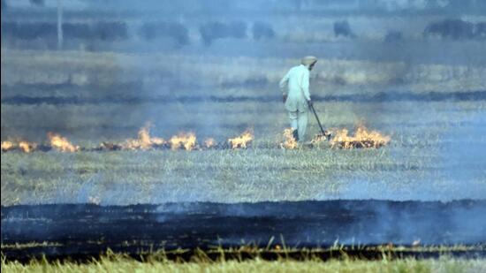 10 Ludhiana villages have taken a pledge against stubble burning. (HT File)