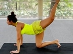 Malaika Arora stretches her body for a strong core in new yoga video, fan says 'Bollywood's fitness queen' Malaika Arora stretches her body for a strong core in new yoga video, fan says 'Bollywood's fitness queen' 