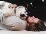 All that you need to know about Emotional Support Animals(Pexels) All that you need to know about Emotional Support Animals(Pexels)