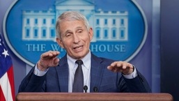 Dr. Anthony Fauci, director of the National Institute of Allergy and Infectious Diseases. (AP Photo/Susan Walsh, File)