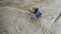 Dag in Jhalawar recorded the highest 234 mm rainfall followed by 224 mm in Rajasthan's Kota.