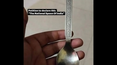 The image shows a steel spoon which can be found in almost every Indian household. (Reddit/@iamnandy) The image shows a steel spoon which can be found in almost every Indian household. (Reddit/@iamnandy)