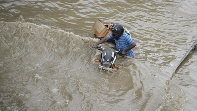 Dag in Jhalawar recorded the highest 234 mm rainfall followed by 224 mm in Rajasthan's Kota. Dag in Jhalawar recorded the highest 234 mm rainfall followed by 224 mm in Rajasthan's Kota.