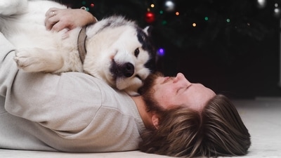 All that you need to know about Emotional Support Animals (Pexels) All that you need to know about Emotional Support Animals (Pexels)