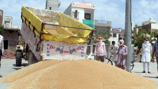 Food grain being unloaded at a grain market in Bathinda. (Sanjeev Kumar/HT Photo)