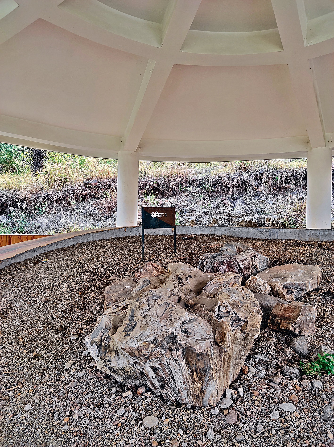The central attraction at the fossil park is a 140-million-year-old plant fossil, preserved in a giant boulder, that might be the key to understanding how early plants evolved into the ones we know today. The central attraction at the fossil park is a 140-million-year-old plant fossil, preserved in a giant boulder, that might be the key to understanding how early plants evolved into the ones we know today.