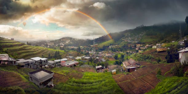 La route de Bangalore à Ooty est réputée pour ses 36 virages en épingle à cheveux.  De grands arbres et des herbes vertes luxuriantes peuvent être trouvés des deux côtés de la route. (gettyimages)