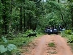 The image, taken from the video shared on Twitter by Pench Tiger Reserve, shows a black panther crossing a road.