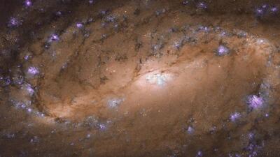 The discovery of GMRT catching rare cosmic tango of radio galaxies was made by an international team led by Indian radio astronomers. (ESA/Hubble & NASA (PIC FOR REPRESENTATION)) The discovery of GMRT catching rare cosmic tango of radio galaxies was made by an international team led by Indian radio astronomers. (ESA/Hubble & NASA (PIC FOR REPRESENTATION))