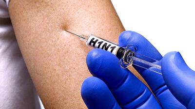 In August, the city reported 163 laboratory confirmed swine flu cases (Shutterstock) In August, the city reported 163 laboratory confirmed swine flu cases (Shutterstock)
