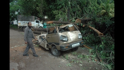 A tree falling incident at SP college on Monday killed a gardener. A car was also damaged in the incident. (HT PHOTO) A tree falling incident at SP college on Monday killed a gardener. A car was also damaged in the incident. (HT PHOTO)