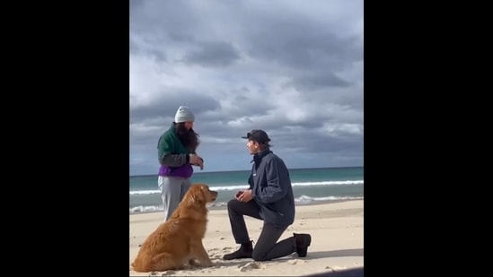 A screengrab from the viral video that shows how a Golden Retriever dog reacted to his human getting engaged.&nbsp;(Instagram/@dogsofinstagram)