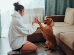 Dogs shed tears of positive emotions when reunited with their owners. Here's why (Ivan Babydov) Dogs shed tears of positive emotions when reunited with their owners. Here's why (Ivan Babydov)