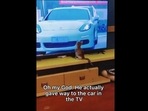 https://images.hindustantimes.com/img/2022/08/24/148x111/viral-video-kitten-gives-way-to-cars-on-TV_1661339235792_1661339246867_1661339246867.jpg