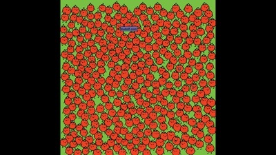 The image has three apples hidden among tomatoes. Can you find them all? (Instagram/@thedudolf) The image has three apples hidden among tomatoes. Can you find them all? (Instagram/@thedudolf)