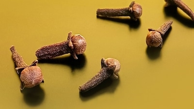 Clove oil: Clove is used in a wide range of oral hygiene products for its eugenol and antimicrobial properties. Apply the oil directly to the ulcers to get relief. Rinse your mouth with warm water after the application. (Unsplash) Clove oil: Clove is used in a wide range of oral hygiene products for its eugenol and antimicrobial properties. Apply the oil directly to the ulcers to get relief. Rinse your mouth with warm water after the application. (Unsplash)
