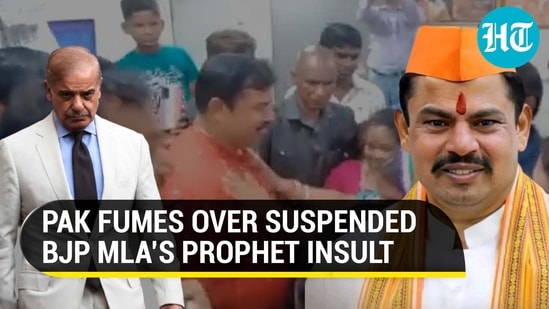 PAK FUMES OVER SUSPENDED BJP MLA’S PROPHET INSULT