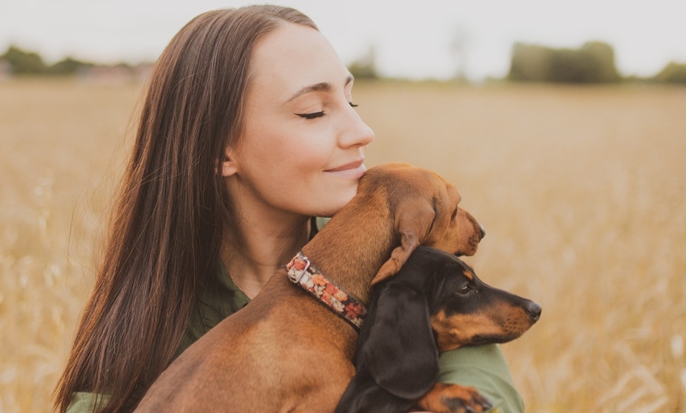 International Dog Day 2022: Ways to pamper your dog on this day (Pexels) International Dog Day 2022: Ways to pamper your dog on this day (Pexels)