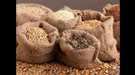 U.P’s monthly PDS foodgrain requirement is a little more than 8 lakh metric ton (MT). (REPRESENTATIVE IMAGE ) U.P’s monthly PDS foodgrain requirement is a little more than 8 lakh metric ton (MT). (REPRESENTATIVE IMAGE )