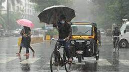 You don’t need the monsoon for it to rain cats and dogs. The two rain throughout the year at my place (HT PHOTO )