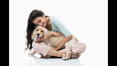 On International Dog Day, pamper your pooches and spend some time with them (Photo: iStock (For representational purposes only)) On International Dog Day, pamper your pooches and spend some time with them (Photo: iStock (For representational purposes only))