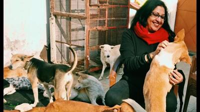 Rakhi Kishore with street dogs Rakhi Kishore with street dogs