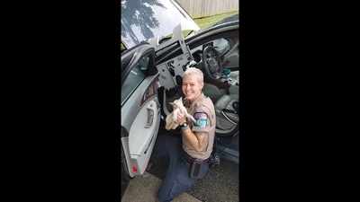 The image, taken from the video posted on Facebook, shows an officer with the rescued kitten.&nbsp; (Facebook/Richmond Fire Department)