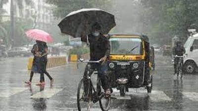 You don’t need the monsoon for it to rain cats and dogs. The two rain throughout the year at my place (HT PHOTO ) You don’t need the monsoon for it to rain cats and dogs. The two rain throughout the year at my place (HT PHOTO )