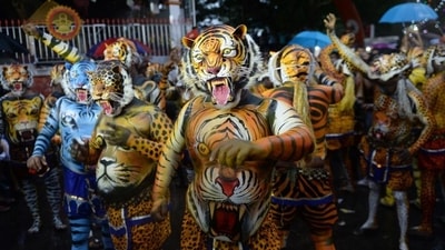 Pulikali (Tiger dance): This folk dance form is performed during the fourth day of the Onam festival. On this day devotees disguise themselves as tiger by painting their faces and bodies like tigers with stripes of yellow, red and black and dance to the rhythm of traditional percussion instruments such as thakil, udukku and chenda. (AFP)