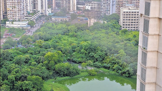 Navi Mumbai, India - Aug. 25, 2022: Ghansoli lake polluted by sewage water from village area at Sector 8 , Ghansoli in Navi Mumbai, India, on Thursday, August 25, 2022. (Photo by Bachchan Kumar/ HT PHOTO) (HT PHOTO)