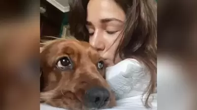 Disha Patani: Disha has two pet dogs - Goku and Bella, and cats Jasmine and Keety. She often takes to her Instagram handle to share pictures cuddling with her pets. (Instagram/@dishapatani) Disha Patani: Disha has two pet dogs - Goku and Bella, and cats Jasmine and Keety. She often takes to her Instagram handle to share pictures cuddling with her pets. (Instagram/@dishapatani)