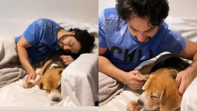 Varun Dhawan: The actor is a proud dog dad to his beagle whose name is Joey. He often shared pictures and videos with Joey on social media which instantly attracts all the pet lovers of his Instagram family. (Instagram/@varundvn) Varun Dhawan: The actor is a proud dog dad to his beagle whose name is Joey. He often shared pictures and videos with Joey on social media which instantly attracts all the pet lovers of his Instagram family. (Instagram/@varundvn)