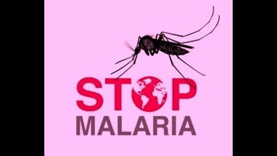 The DMO said adequate quantity of medicines and tests kits for malaria are available in Prayagraj. (For Representation) The DMO said adequate quantity of medicines and tests kits for malaria are available in Prayagraj. (For Representation)