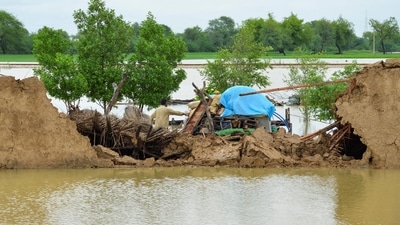 Pakistan Floods: A flood victim retrieves usable items from his damaged house following rains and floods during the monsoon season in Jafarabad, Pakistan. (REUTERS)