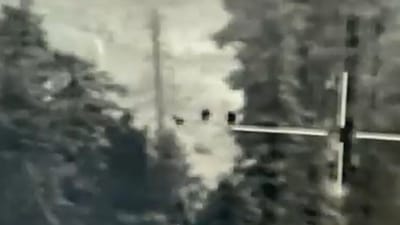 Video showing terrorists trying to infiltrate the Indian border. (Indian Army)