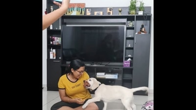 The image, taken from the viral Instagram video, shows the Golden Retriever with one of its pet parents. (Instagram/@wigglybumbly)
