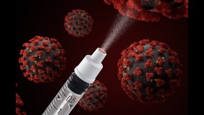 Haryana reports two-fold rise in Covid-19 deaths in August (Shutterstock)