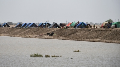 Tents of flood victims are seen after they took refuge on an embankment following rains and floods during the monsoon season. (REUTERS)