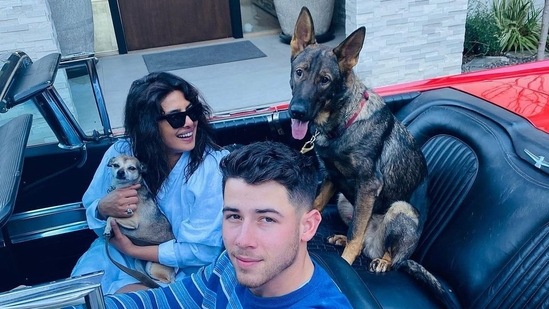 Priyanka Chopra: PeeCee has three pet dogs - Diana, Gino, and Panda. Gino is a German Shepherd, Diana, is a Chihuahua and Panda is a husky/Australian shepherd mix. She even has a tattoo on her legs dedicated to her furry friends. She has even made Instagram pages for her three dogs.(Instagram/@priyankachopra)