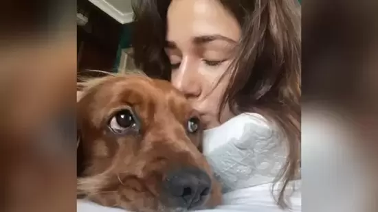 Disha Patani: Disha has two pet dogs - Goku and Bella, and cats Jasmine and Keety. She often takes to her Instagram handle to share pictures cuddling with her pets.(Instagram/@dishapatani)