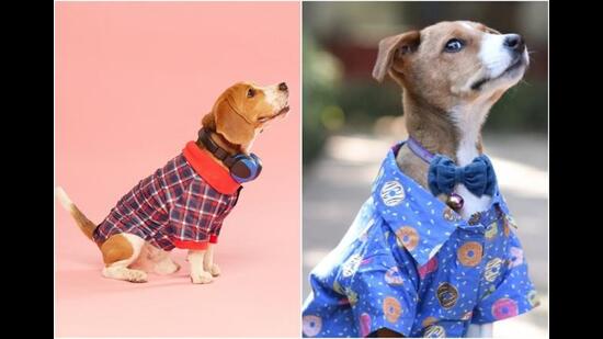 (L) Zigly’s range of shirts for dogs. (R) Bowtie and shirt combinations for dogs from Mutt of Course.