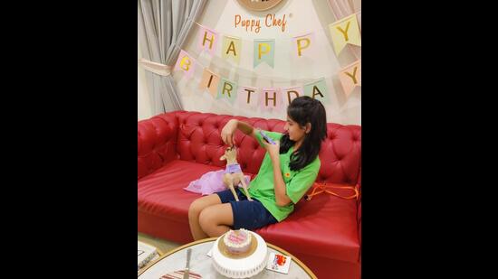Puppychef पालतू कैफे अपने जन्मदिन समारोह के लिए प्रसिद्ध है।